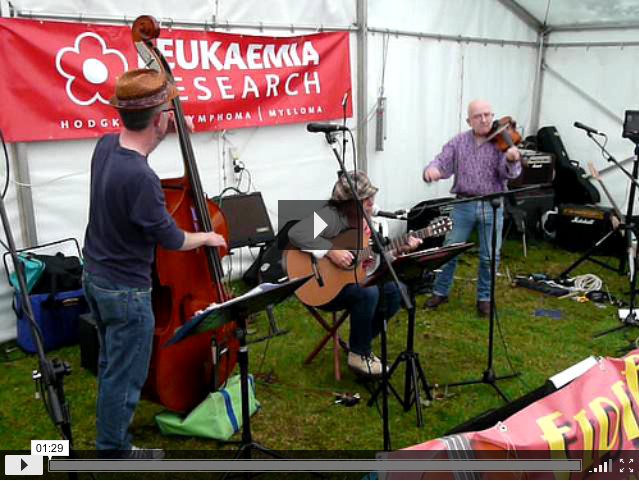 FiddleBop (Karl Wagner on bass) in 2008