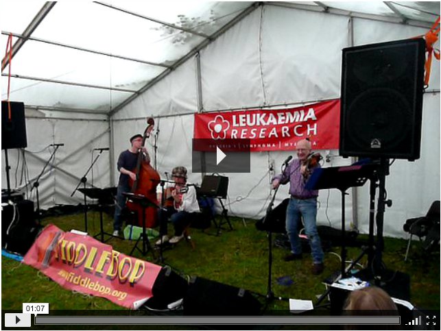 FiddleBop (Karl Wagner on bass) in 2008